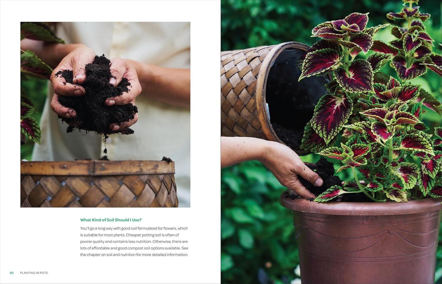 The Creative Container Garden: Grow a Vibrant, Year-Round Mix of Flowers, Food, Herbs, and More