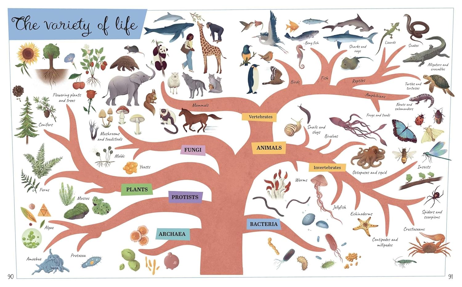Visual Science Encyclopedia: An Interactive Exploration of Chemistry, Biology and Physics