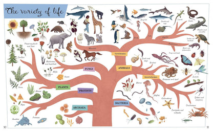 Visual Science Encyclopedia: An Interactive Exploration of Chemistry, Biology and Physics