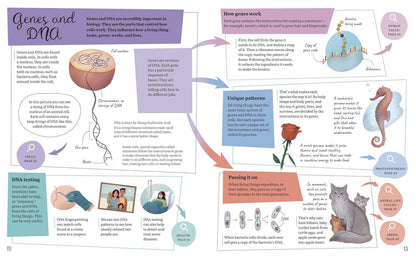 Visual Science Encyclopedia: An Interactive Exploration of Chemistry, Biology and Physics